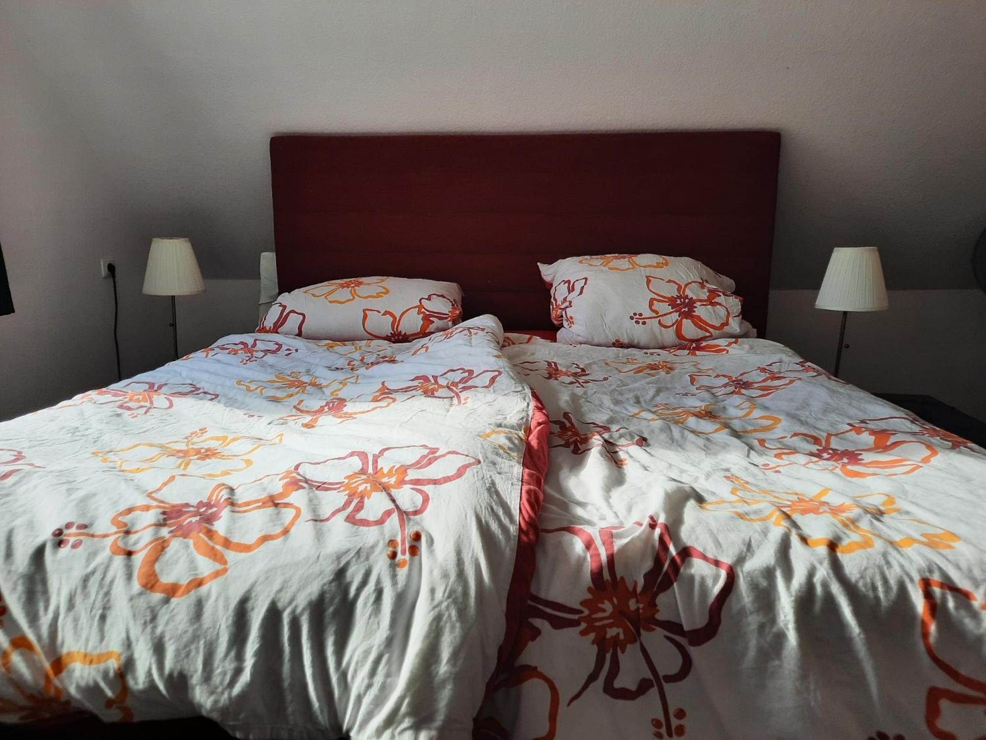 Ferienwohnung Yachthof Scheid Scheid  Екстериор снимка